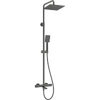 Душевая колонна Deante NAC_D1HT Cascada термостат с поворотным изливом, Titanium (титан) Душевая колонна Deante NAC_D1HT Cascada термостат с поворотным изливом, Titanium (титан)