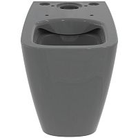 Чаша унитаза Ideal Standard T461258 i.life B напольного 36х67 см, технология RimLS+, Grey Glossy (серый глянцевый) Чаша унитаза Ideal Standard T461258 i.life B напольного 36х67 см, технология RimLS+, Grey Glossy (серый глянцевый)