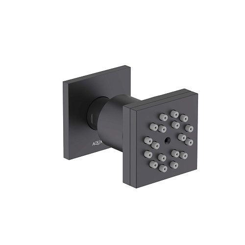 Душевая форсунка Aquatek  AQ2098MB