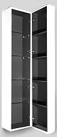 Шкаф-колонна AM.PM SPIRIT 2.0 M70ACHMR0356WG Шкаф-колонна AM.PM SPIRIT 2.0 M70ACHMR0356WG