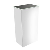 Шкаф-пенал Keuco 31725800001 Edition 400 средний 90х45 см, петли слева, белый глянцевый/стекло глянцевое антрацит