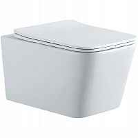 Унитаз подвесной Aquatek AQ0530N-00 Либра 53х36 см, безободковый, белый