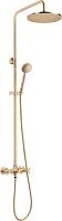 Душевая система Deante NAC_M4QT Temisto, бронза