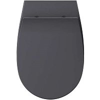 Крышка для унитаза ISVEA Sentimenti 40D10522I