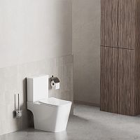 Унитаз Damixa Titan DX78C8601SC