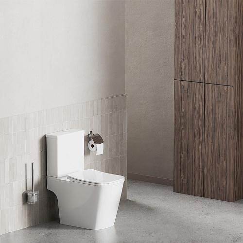 Унитаз Damixa Titan DX78C8601SC