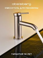 Смеситель для раковины ABELSBERG Fluida ERF22001BN