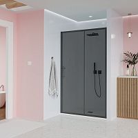 Душевая дверь Veconi Evo E1-B-120-12-C9 Душевая дверь Veconi Evo E1-B-120-12-C9