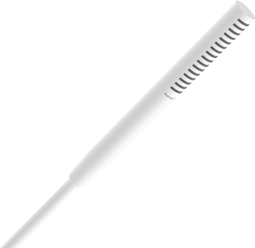 Ручной душ Hansgrohe Pulsify S 24125700