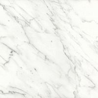 Керамогранит Sant'Agostino Inspire Floor Bianco Statuario E 45x45 (FloorBiancoStatuario/E)