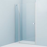 Душевая дверь IDDIS, RAY6CP2i69 Ray распашная 120х195 см, глянцевый алюминиевый профиль