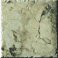 Глазурованный керамогранит Imola Ceramica Excalibur Excalibur20V