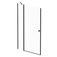 Дверь для ниши AM.PM SUNNY W87G-120-1P-BT