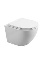 Унитаз подвесной с сиденьем BelBagno  BB5177CH-TOR/SC