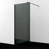 Душевая перегородка WasserKRAFT Rur 30W 30W39MB-TG