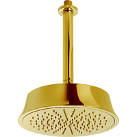 Верхний душ Cisal DS01328024  Shower 220 мм с потолочным держателем L270 мм, цвет золото