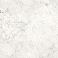 Неглазурованный керамогранит La Faenza Aesthetica AeCal6120Lp 120x120