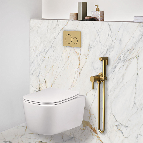 Гигиенический душ Vincea VHFW-101BG в комплекте со смесителем, брашированное золото Гигиенический душ Vincea VHFW-101BG в комплекте со смесителем, брашированное золото