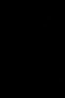 Неглазурованный керамогранит IMOLA CERAMICA CLOSER Closer69WAs