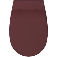 Крышка для унитаза ISVEA Sentimenti 40D40543I-S