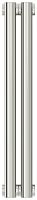 Радиатор Сунержа 00-0301-5002 Эстет-1 отопительный н/ж 500х90 мм/ 2 секции, без покрытия