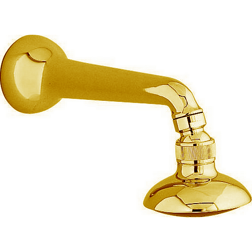 Cisal AR00154024 Arcana Душевая лейка для настенного крепления, цвет золото Cisal AR00154024 Arcana Душевая лейка для настенного крепления, цвет золото снят с производства