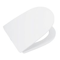 Крышка-сиденье для унитаза BelBagno  BB045/051SC