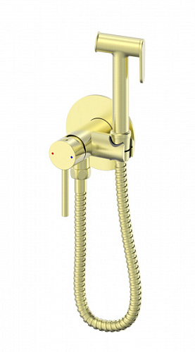 Смеситель с гигиеническим душем Wonzon & Woghand  WW-88829902-BG