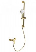 Смеситель для душа Wonzon & Woghand  WW-AE3103-BG Смеситель для душа Wonzon & Woghand  WW-AE3103-BG