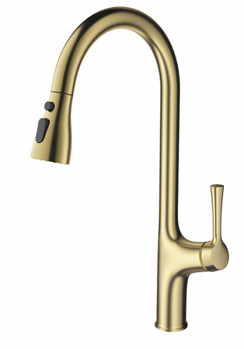 Смеситель для кухни Wonzon & Woghand WW-AE54123-BG Смеситель для кухни Wonzon & Woghand WW-AE54123-BG