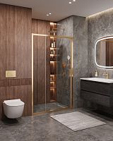 Душевая дверь в нишу Cezares MOLVENO MOLVENO-BF-3-120-C-BORO-IV