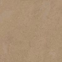Глазурованный керамогранит AZORI SANDSTONE Sandstone_Dark_60*60 (exp)