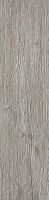 Неглазурованный керамогранит AtlasConcorde AXI AxiSilverFir22,5x90Strutturato