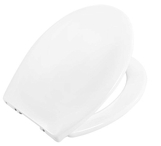 Крышка-сиденье BelBagno  BB2020-1SC