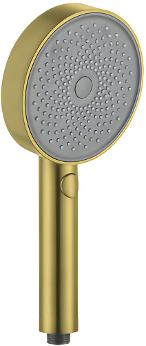 Душевые лейки Allen Brau PRIORITY 5.31B20-GB Душевые лейки Allen Brau PRIORITY 5.31B20-GB