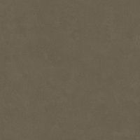 Неглазурованный керамогранит LEONARDO 1502 CODE CdDove120 Неглазурованный керамогранит LEONARDO 1502 CODE CdDove120