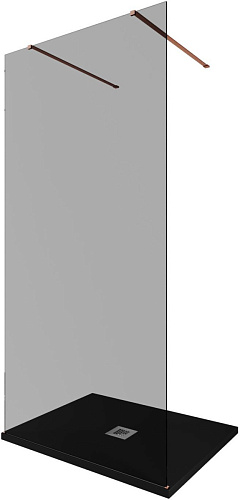 Душевая перегородка Allen Brau INFINITY 3.21042.60.T купить недорого в интернет-магазине Керамос