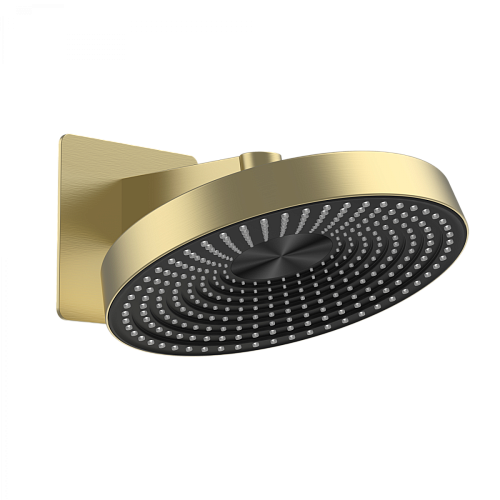 Верхний душ Wonzon & Woghand  WW-HS099-BG