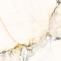 Неглазурованный керамогранит LA FAENZA AESTHETICA AePaz6120Lp Неглазурованный керамогранит LA FAENZA AESTHETICA AePaz6120Lp