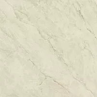 Керамогранит Imola Muse Macchiaap. 2W LP 120x120 (Macchiaap.2WLP) купить недорого в интернет-магазине Керамос