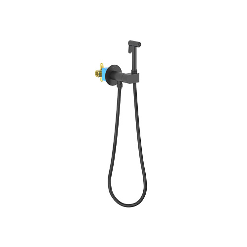 Комплект Aquatek AQ1024MB Оберон для гигиенического душа встроенный, черный матовый Комплект Aquatek AQ1024MB Оберон для гигиенического душа встроенный, черный матовый