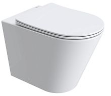 Унитаз приставной BelBagno  BB1003CB-TOR/SC