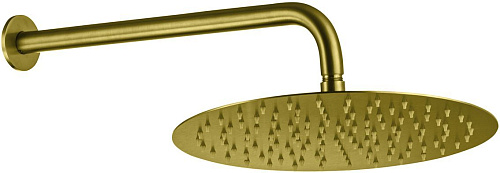 Верхний душ Allen Brau PRIORITY 5.31A17-GB Верхний душ Allen Brau PRIORITY 5.31A17-GB