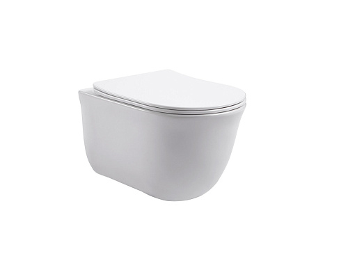 Унитаз Aquatek AQ1111-00 Классик безободковый 52.5х36.5 см, тонкое сиденье с механизмом плавного закрывания, белый Унитаз Aquatek AQ1111-00 Классик безободковый 52.5х36.5 см, тонкое сиденье с механизмом плавного закрывания, белый