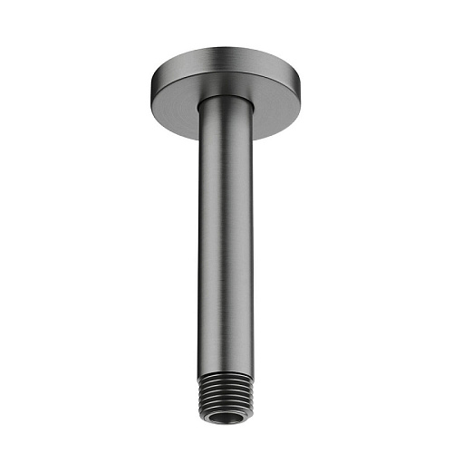 Держатель верхнего душа Aquatek  AQ2171BGM