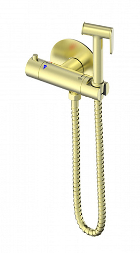 Смеситель с гигиеническим душем Wonzon & Woghand  WW-88819902-BG