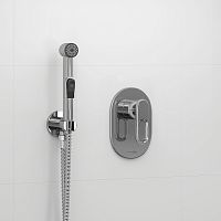 Встраиваемый комплект WasserKRAFT A111856 для биде со шлангом 100 см, хром Встраиваемый комплект WasserKRAFT A111856 для биде со шлангом 100 см, хром
