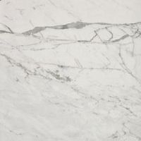 Неглазурованный керамогранит AtlasConcorde MARVEL PRO MarvelStatuarioSelect