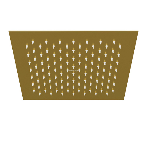 Душевая насадка WasserKRAFT A198 верхняя