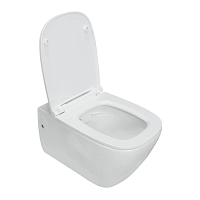 Унитаз Sanita Luxe WC.WH/Infinity/SlimDM.Rim/WHT.G/S1 Infinity RML SLM подвесной 35х55 см, с сиденьем, белый S1 Унитаз Sanita Luxe WC.WH/Infinity/SlimDM.Rim/WHT.G/S1 Infinity RML SLM подвесной 35х55 см, с сиденьем, белый S1